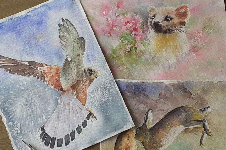 RSPB Pagham - Artists Wildlife Paint workshop