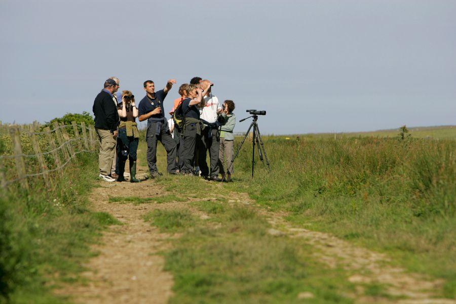 RSPB - Binocular and Telescope Open Day