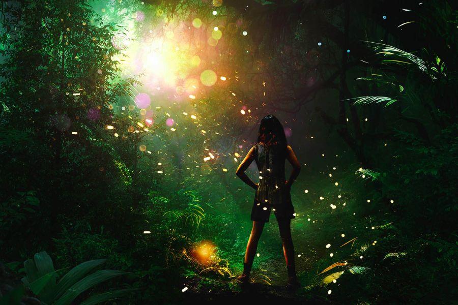 The jungle book - chichester youth festival theatre
